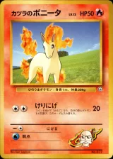 カツラのポニータ