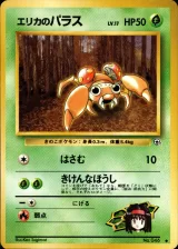 エリカのパラス C