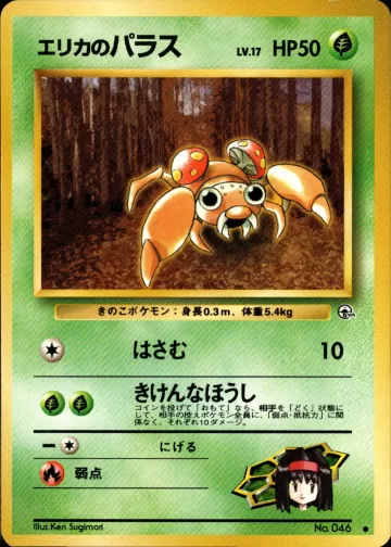 エリカのパラス C