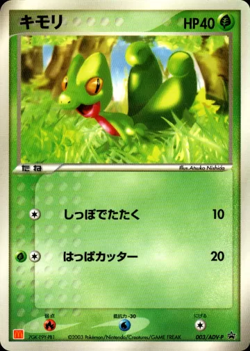 キモリ PROMO