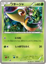 ツタージャ PROMO