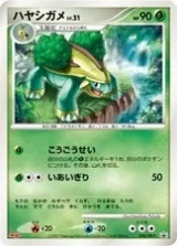 ハヤシガメ PROMO