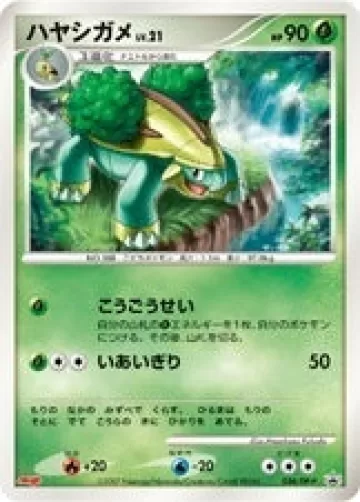 ハヤシガメ PROMO