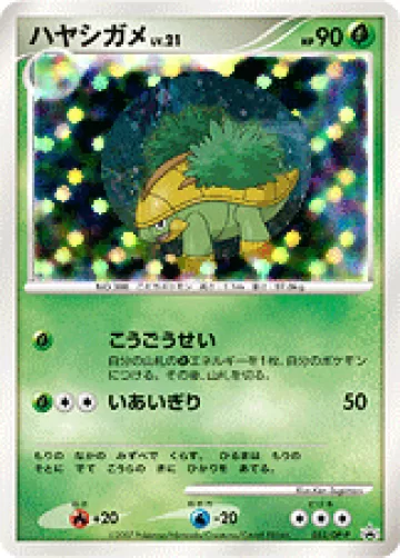 ハヤシガメ PROMO