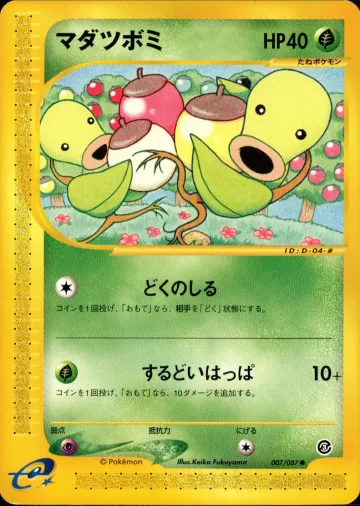 マダツボミ