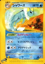 シャワーズ 1ED