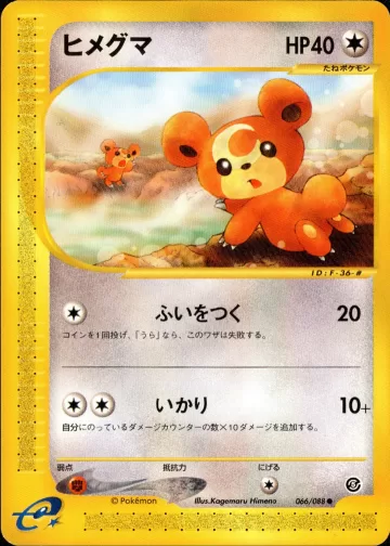 ヒメグマ