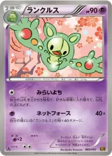 ランクルス