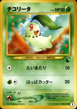 チコリータ