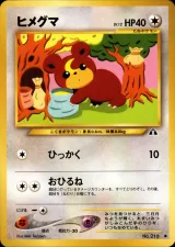 ヒメグマ C