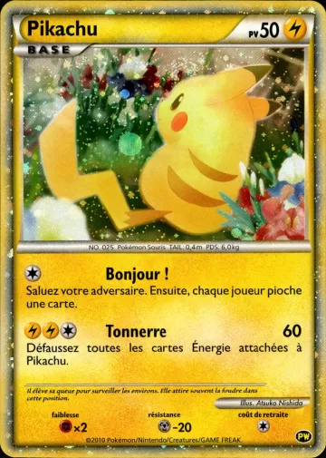 ピカチュウ（フランス）