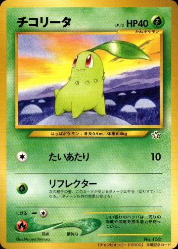 チコリータ（チャンピオンロード2000）