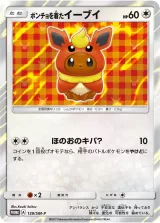 ポンチョを着たイーブイ PROMO
