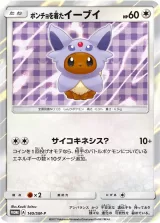 ポンチョを着たイーブイ PROMO