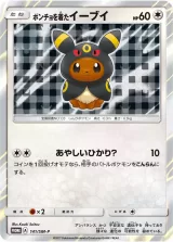 ポンチョを着たイーブイ PROMO
