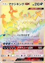 アクジキングGX HR