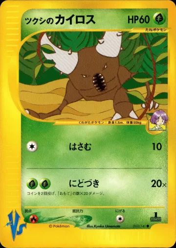 ツクシのカイロス
