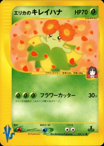 エリカのキレイハナ
