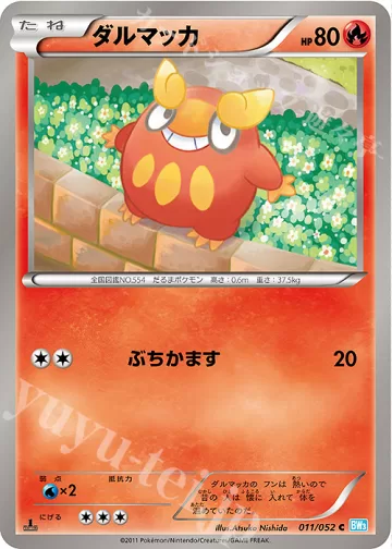 ダルマッカ C