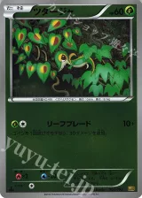 ツタージャ ミラー