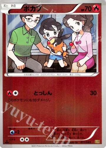 ポカブ ミラー